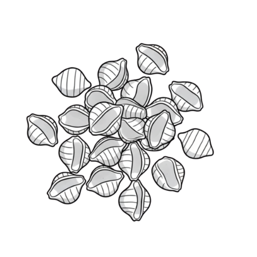 Shells (Low Gluten)